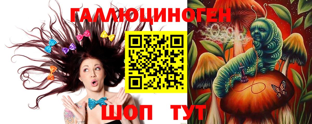Псилоцибиновые грибы мицелий Калининград